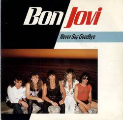 Bon Jovi : Never Say Goodbye